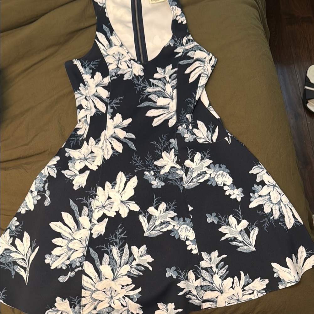 Abercrombie & Fitch Blue and White Floral Dress